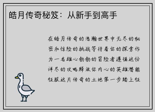 皓月传奇秘笈：从新手到高手