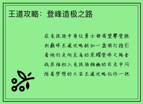 王道攻略：登峰造极之路
